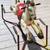 Vintage 1959 MOBO PRAIRIE KING English Metal Rocking Horse 5 thumbnail