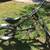 Schwinn StingRay "Orange County Choppers" Edition 1 thumbnail