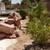 Tree service and Yard clean ups at the BEST price! Monthly specials!!! 15 thumbnail