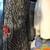 Surfboard bag 9’6 and boardsock 7’6 1 thumbnail