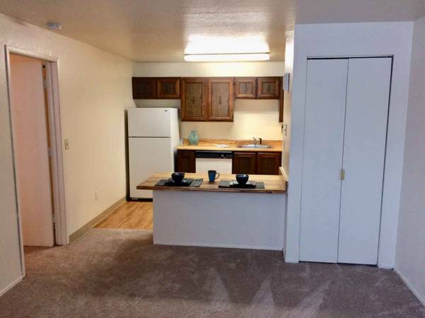 $1,315 / 1br - 470ft2 - Enjoy the best in off campus living at a great price! 1 bed / 1 bath (Anchorage)64004786049665124