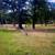 Great opportunity property 2 thumbnail