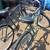 Beach cruisers 3 thumbnail