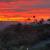 Avocado grove with a view on almost 5 Acres 4BR 2.5BA 1 thumbnail