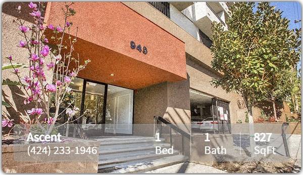 Spacious 1 Bedroom. Available Now! 1