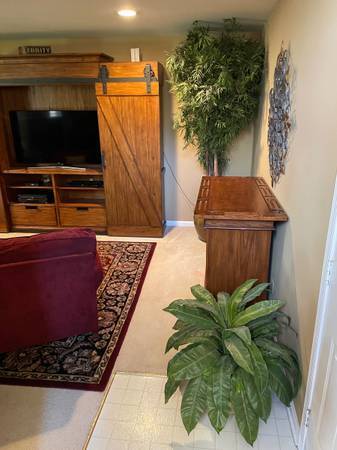 $1,395 / 1br - 600ft2 - Furnished Walkout Basement/Bath/Patio (Kingstowne)64040030297859120