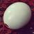 Old OSTRICH EGG - San Diego Farm 3 thumbnail