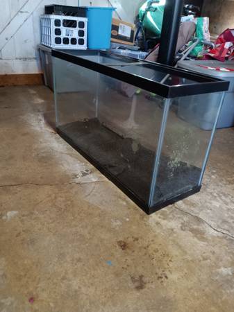 30 gallon Aquarium with Guppies, Plants, and Snails (oakland hills / mills)63658975929601120