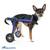 Walkin’ Wheels MINI Dog Wheelchair 6 thumbnail