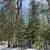 80 Acre Parcel with Extensive Network of Trails! 10 thumbnail