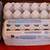 Extra Large Egg Cartons 3 thumbnail