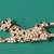 Very Rare Leopard Brooch Pin RMN ROMAN Brand Bright Bling Crystals 2.25" long 1 thumbnail