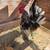 Gallinas/silk and serama 4 thumbnail