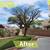**Lawn and Maintenance Services, Quality & Excellence-Free Estimates** 23 thumbnail