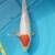 Koi fish for sale 2 thumbnail