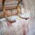 Antique bentwood boho coat rack hall tree 2 thumbnail