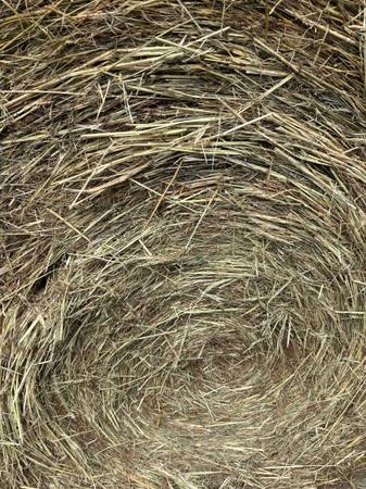 4x5 net wrapped round bales 1