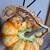 Crested geckos 4 thumbnail