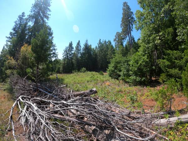 $19,900 Cheap land! 5 acres vacant land Montgomery Creek, CA with mature trees (Montgomery Creek, CA)63972531645698120