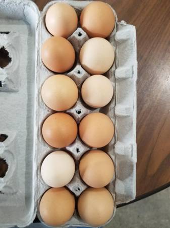 Eggs  Fresh free range 1