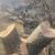 Tree removal!!Tree trimming!! Stump grinding!!Free Estimates 9 thumbnail