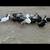 Ducks 2 thumbnail