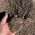 Quality mixed soil 1 thumbnail