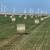 Beardless Wheat Hay - 14.5% rounds 1 thumbnail