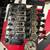 EVH “Frankenstein” tribute guitar with flight case 5 thumbnail