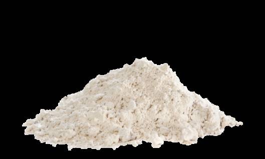Diatomaceous Earth for Filtration and Coatings | 20 Microns 1