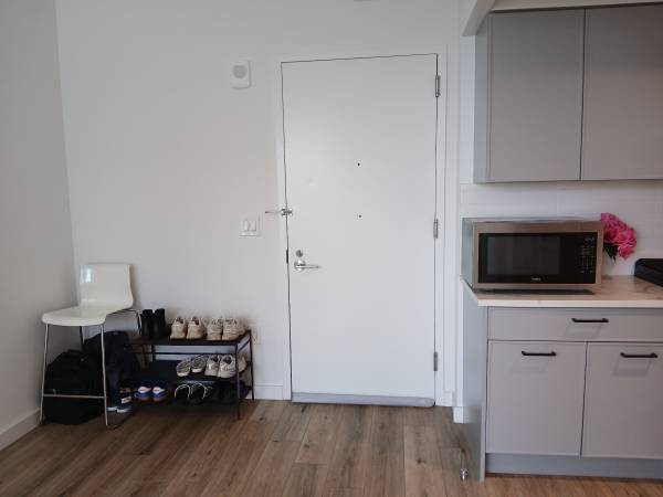 $2,950 / 1br - Estudio de lujo de $2950 en Crown Heights63684745477505124