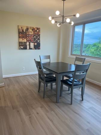 $2,400 / 2br - 2200ft2 - Renovated 2 bedroom  and renovated bathroom (Hyattsville)63843415619715122