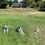 🐾 Structured Pack Walks – South Bay (Wayfinder K9) 🐾 5 thumbnail