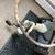 Siebert vintage Tricycle 8 thumbnail