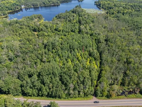 $83,900 / 283140ft2 - 6.5 Acres of Pure Serenity on Chaney Lake! (Bessemer)64151610588417122