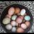 12 fertile hatching eggs rare breeds available 10 thumbnail