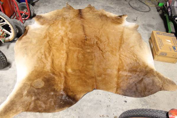 Cowhide 1
