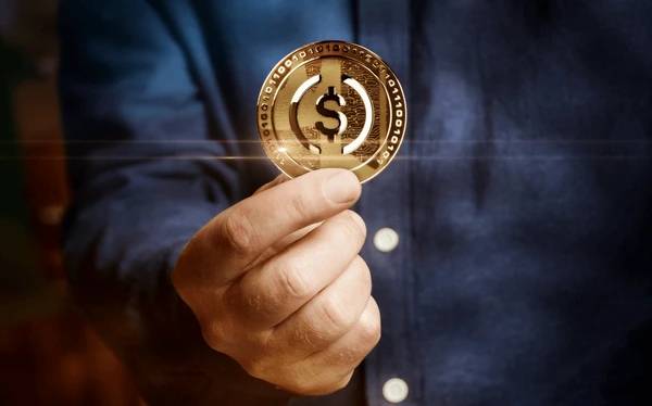 Build Your Crypto Launchpad with Nadcab Labs 1