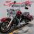 2014 Harley-Davidson Road King® Touring 7 thumbnail