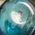 Oiva Toikka Turquoise Blue Shorebird NEW in Box 12 thumbnail