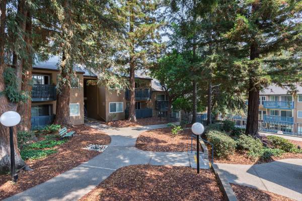 2B/1B, in Castro Valley CA, Dry sauna 1