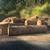 Incense Cedar, Doug Fir and Hardwood Sale! 10 thumbnail