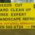 Tree service🌳Tree trimming🌲Tree removal🌴References best prices👷‍ 1 thumbnail