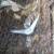 1957 Chevrolet 150 parts car 19 thumbnail