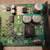 NVidia P117 DELL Video Card 4 thumbnail