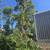 Antonio Tree Service Omaha 13 thumbnail