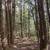 Chenango County / Year Round Getaway / 8 acres / 3 Hrs. G.W. Bridge 4 thumbnail