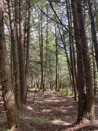 $21,900 Condado de Chenango / Refugio todo el año / 8 acres / 3 horas del puente George Washington (Bainbridge, Nueva York)63854291022979123