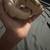 Ball python 5 thumbnail