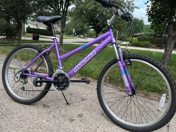 24” girls bicycle 21 speeds 1